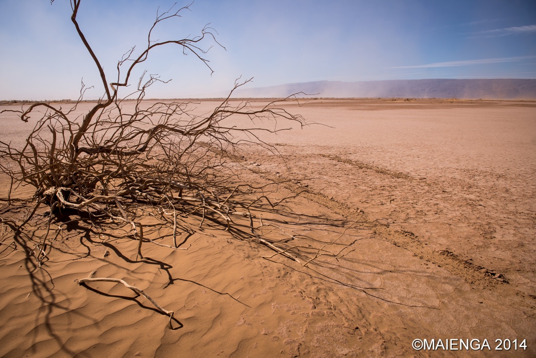 DESERT MAROCAIN